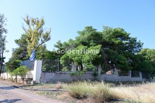 Οικόπεδο 6.000 τ.μ. για πώληση, Βοιωτία, Σχηματάρι-thumb-18