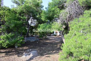 Οικόπεδο 6.000 τ.μ. για πώληση, Βοιωτία, Σχηματάρι-thumb-2