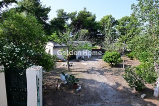 Οικόπεδο 6.000 τ.μ. για πώληση, Βοιωτία, Σχηματάρι-thumb-1