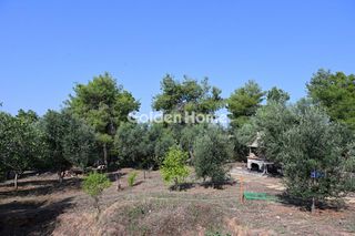 Οικόπεδο 6.000 τ.μ. για πώληση, Βοιωτία, Σχηματάρι-thumb-4