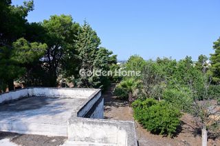 Οικόπεδο 6.000 τ.μ. για πώληση, Βοιωτία, Σχηματάρι-thumb-6
