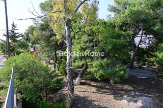 Οικόπεδο 6.000 τ.μ. για πώληση, Βοιωτία, Σχηματάρι-thumb-16