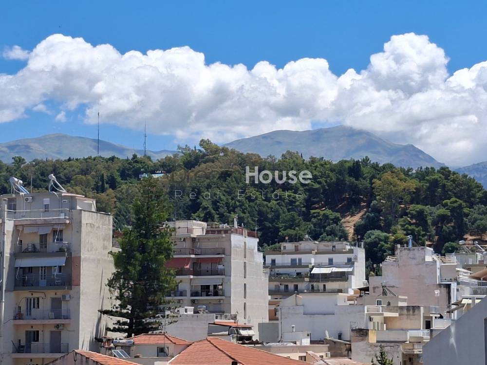 Διαμέρισμα 130 τ.μ. προς πώληση, Δασσύλιο