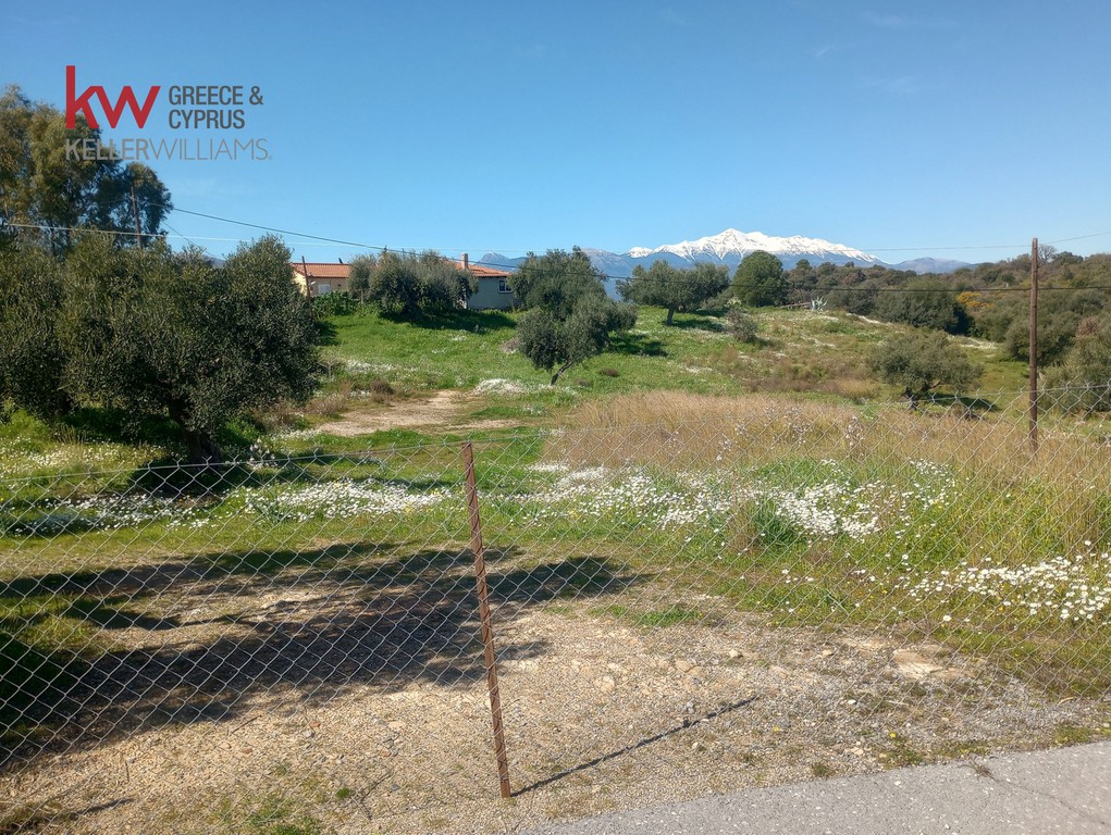 Οικόπεδο 2.000 τ.μ. προς πώληση, Μαρούλια