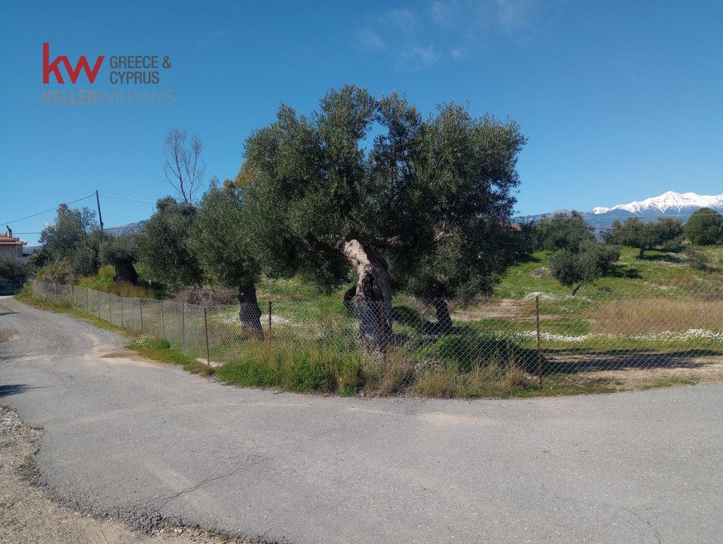Οικόπεδο 2.000 τ.μ. προς πώληση, Μαρούλια