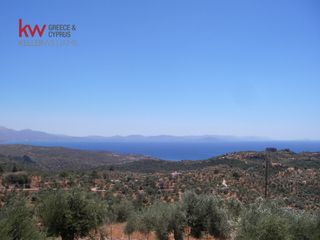Οικόπεδο 2.000 τ.μ. για πώληση