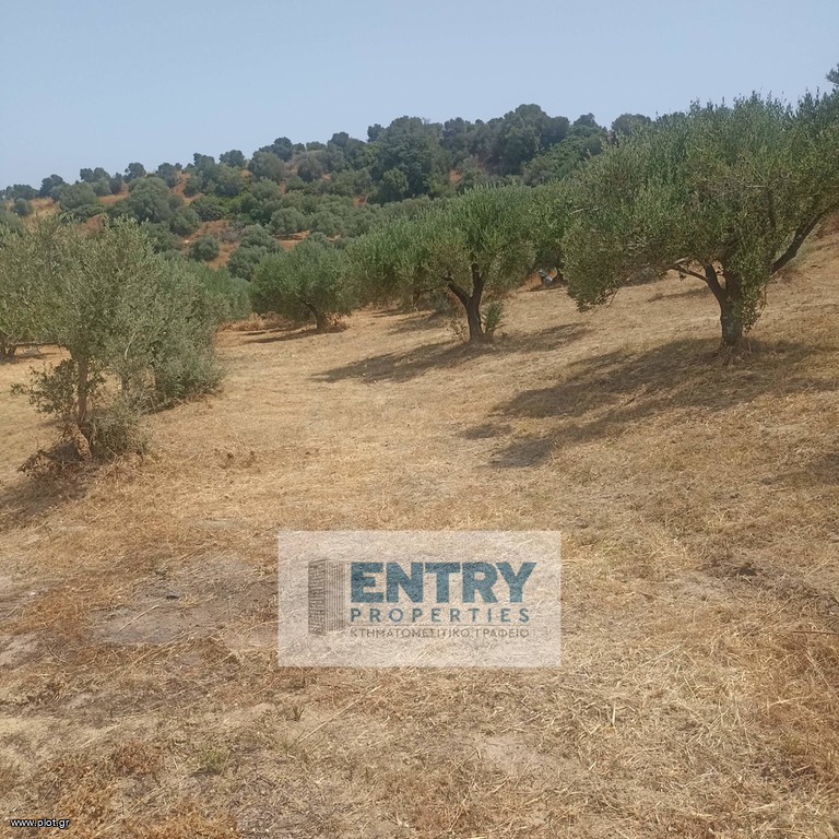 Οικόπεδο 2.289 τ.μ. πρός πώληση, Ν. Χανίων, Νέα Κυδωνία