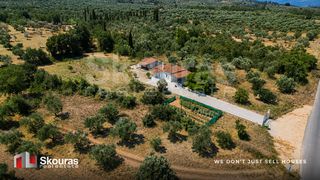 Μονοκατοικία 56 τ.μ. για πώληση, Μεσσηνία, Αετού-thumb-25