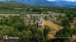 Μονοκατοικία 56 τ.μ. για πώληση, Μεσσηνία, Αετού-thumb-24