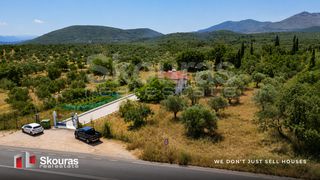 Μονοκατοικία 56 τ.μ. για πώληση, Μεσσηνία, Αετού-thumb-21