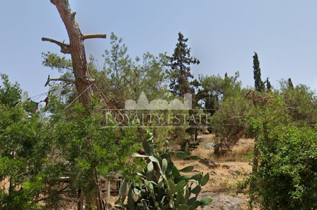 Αέρας 196 τ.μ. προς πώληση