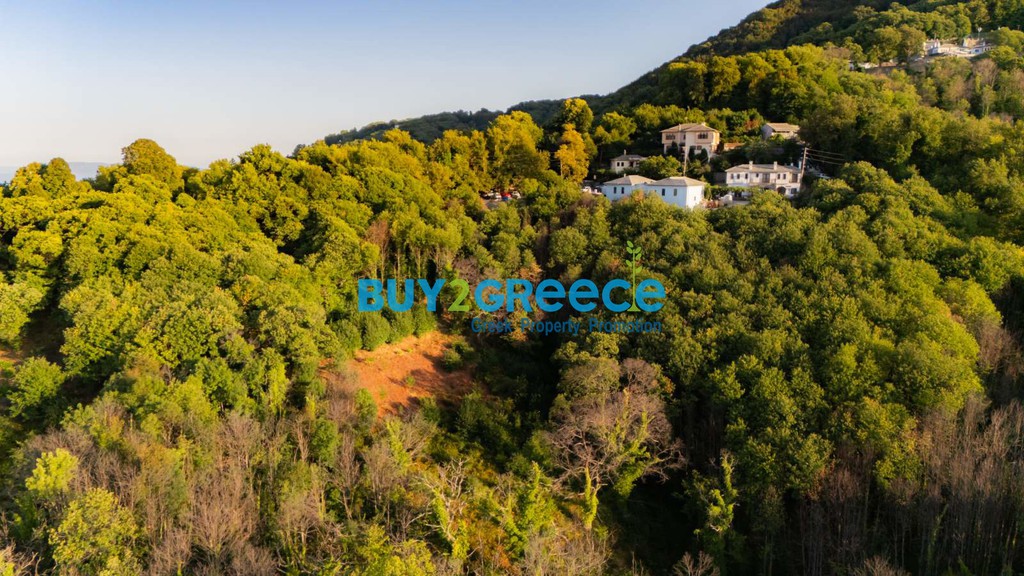Οικόπεδο 4.054 τ.μ. προς πώληση, Τσαγκαράδα