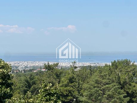 Μονοκατοικία 312 τ.μ. προς πώληση