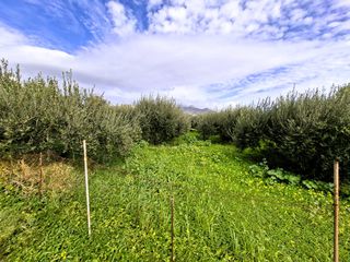Οικόπεδο 762 τ.μ. προς πώληση, Κέντρο Ιεράπετρας-thumb-1