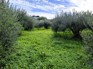 Οικόπεδο 762 τ.μ. προς πώληση, Κέντρο Ιεράπετρας-thumb-2