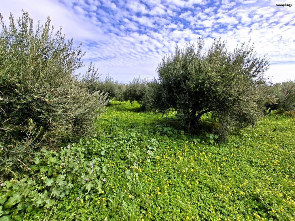 Οικόπεδο 762 τ.μ. πρός πώληση, Ν. Λασιθίου, Ιεράπετρα