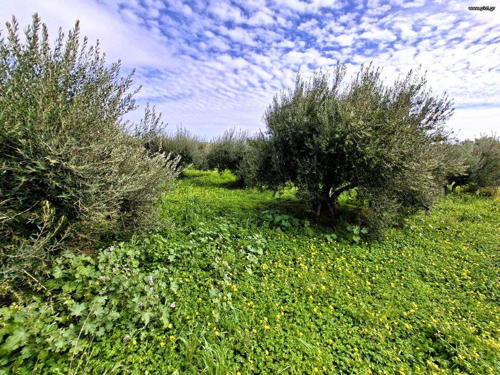 Οικόπεδο 762 τ.μ. πρός πώληση, Ν. Λασιθίου, Ιεράπετρα
