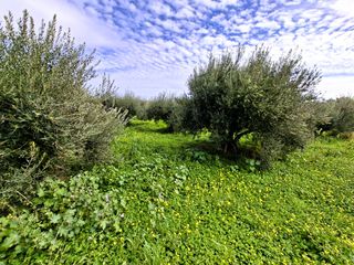 Οικόπεδο 762 τ.μ. προς πώληση, Κέντρο Ιεράπετρας-thumb-4
