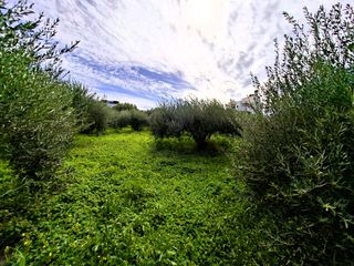 Οικόπεδο 762 τ.μ. προς πώληση, Κέντρο Ιεράπετρας-thumb-7