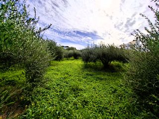 Οικόπεδο 762 τ.μ. προς πώληση, Κέντρο Ιεράπετρας-thumb-8