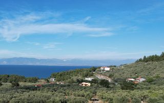 Αγροτεμάχια 11.872 τ.μ. για πώληση