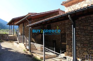 Συγκρότημα διαμερισμάτων 240 τ.μ. για πώληση, Ευρυτανία, Καρπενήσι-thumb-10