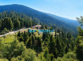 Συγκρότημα διαμερισμάτων 240 τ.μ. για πώληση, Ευρυτανία, Καρπενήσι-thumb-12