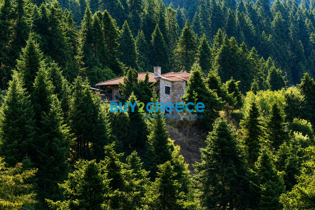 Συγκρότημα διαμερισμάτων 240 τ.μ. για πώληση, Ευρυτανία, Καρπενήσι