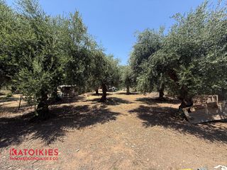 Οικόπεδο 464,27 τ.μ. για πώληση, Μεσσηνία, Καλαμάτα-thumb-2