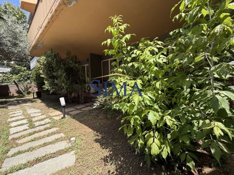 Studio 62 sqm for rent