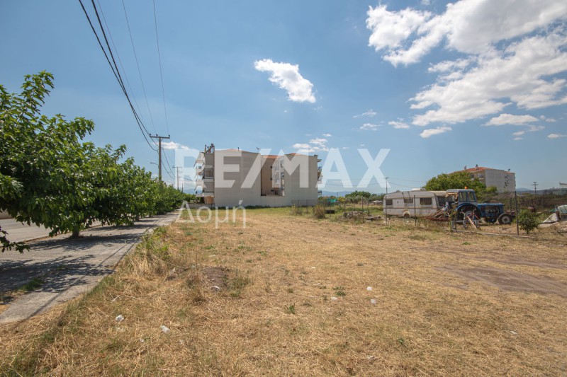 Οικόπεδο 400 τ.μ. πρός πώληση, Μαγνησία, Νέα Αγχίαλος