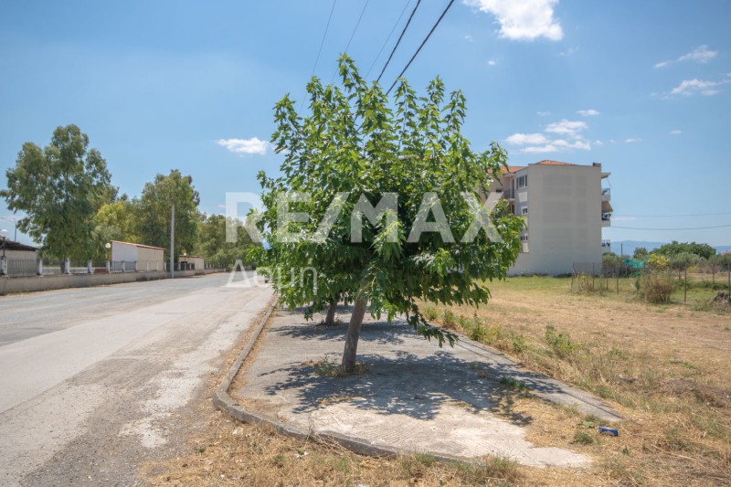 Οικόπεδο 400 τ.μ. πρός πώληση, Μαγνησία, Νέα Αγχίαλος