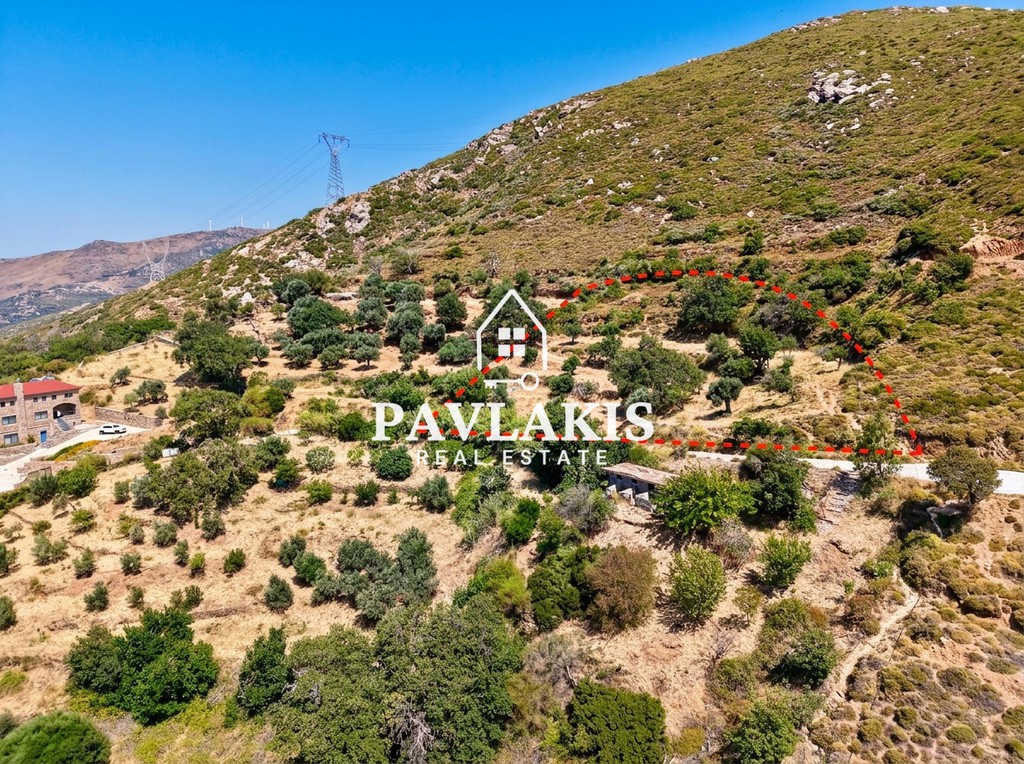 Οικόπεδο 2.424 τ.μ. πρός πώληση, Εύβοια, Κάρυστος