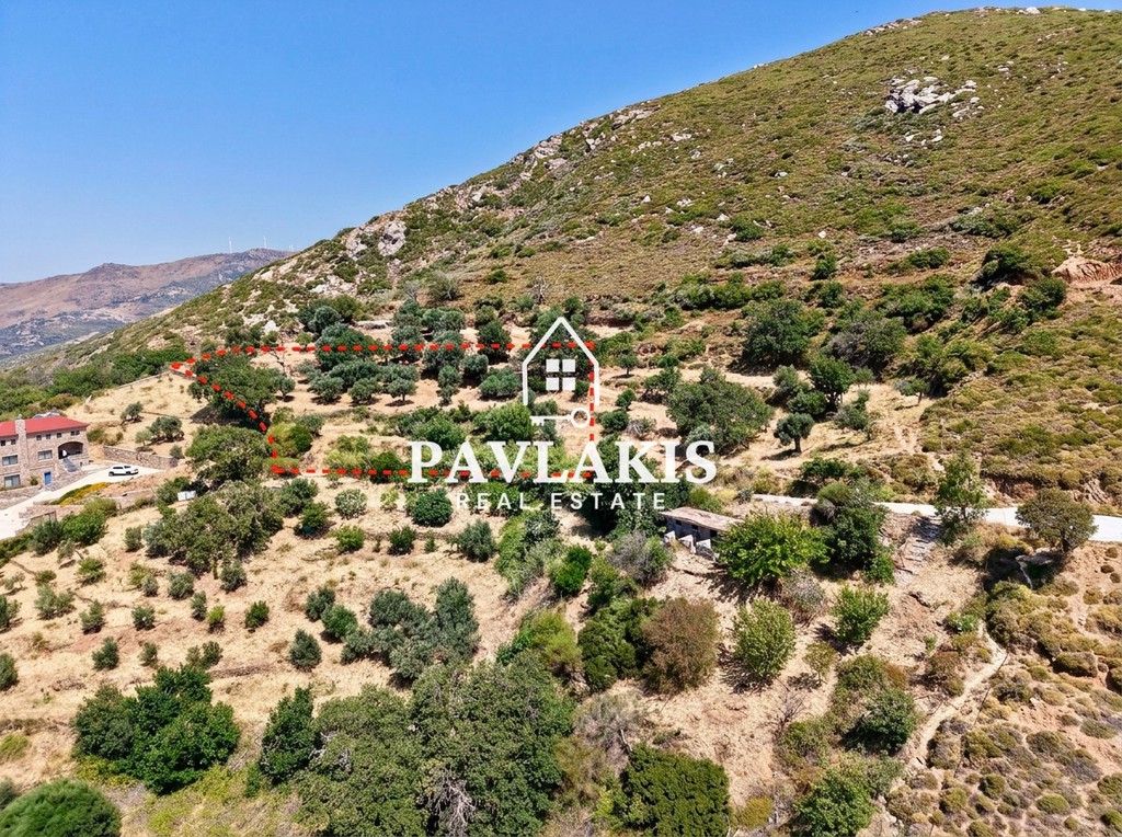 Οικόπεδο 1.361 τ.μ. πρός πώληση, Εύβοια, Κάρυστος