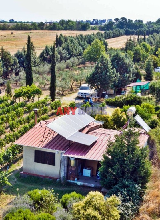 Αγροτεμάχια 3.750 τ.μ. προς πώληση, Πρόχωμα