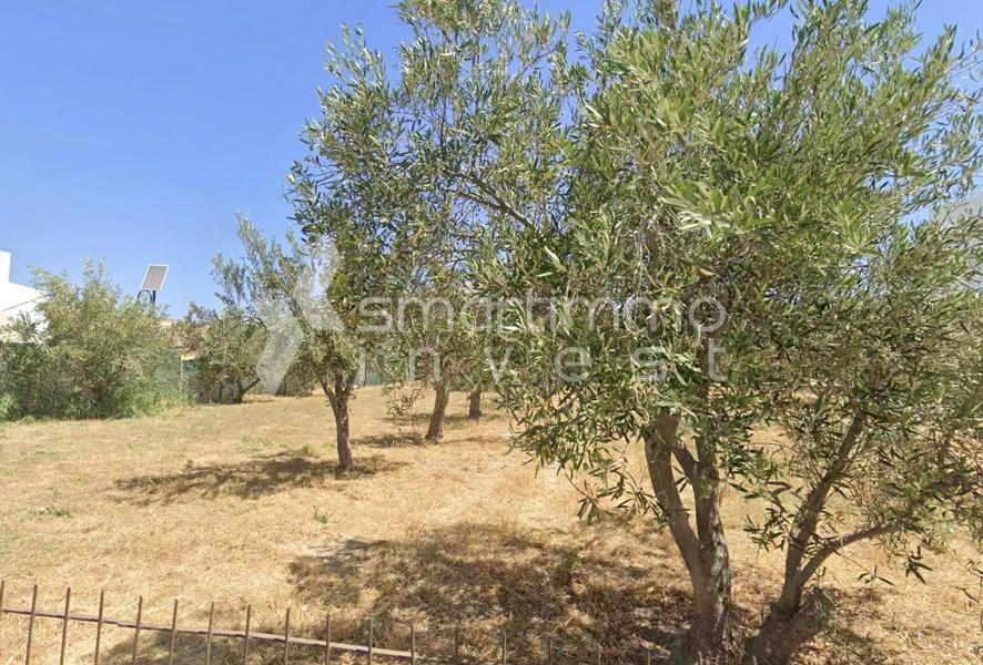 Οικόπεδο 1.511 τ.μ. προς πώληση, Ερμούπολη