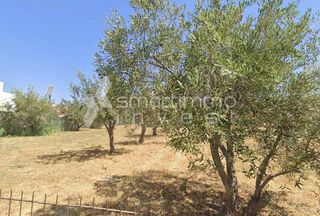 Οικόπεδο 1.511 τ.μ. για πώληση