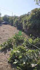 Οικόπεδο 500 τ.μ. για ενοικίαση