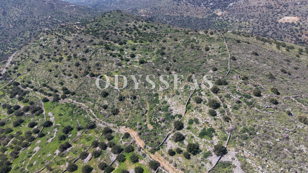 Οικόπεδο 12.178 τ.μ. πρός πώληση, Ν. Λασιθίου, Άγιος Νικόλαος