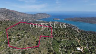 Οικόπεδο 12.178 τ.μ. για πώληση