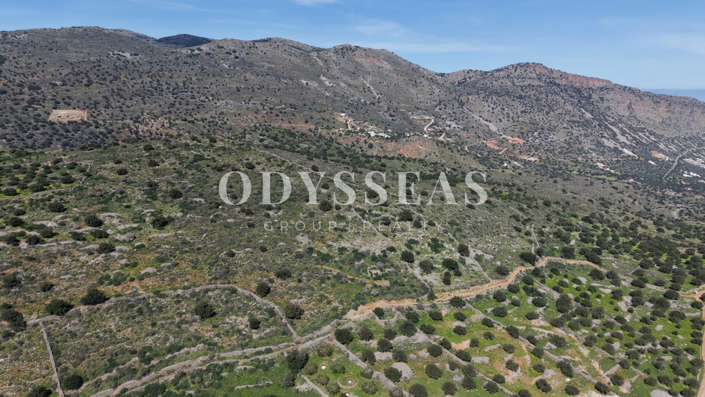 Οικόπεδο 12.178 τ.μ. πρός πώληση, Ν. Λασιθίου, Άγιος Νικόλαος