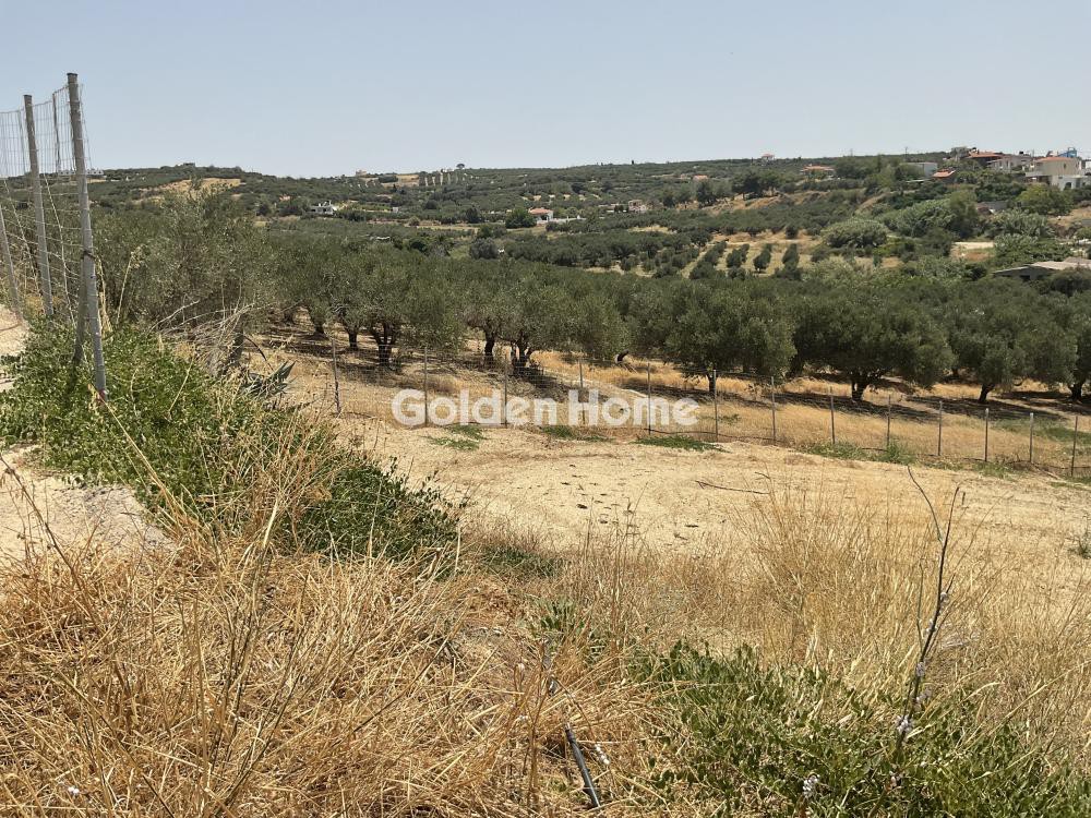 Οικόπεδο 1.194 τ.μ. προς πώληση, Επάνω Βάθεια