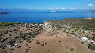 Οικόπεδο 10.000 τ.μ. για πώληση