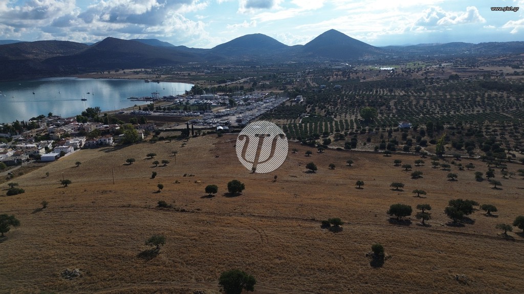 Οικόπεδο 10.000 τ.μ. προς πώληση, Αργολίδα, Κρανίδι