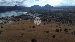 Οικόπεδο 10.000 τ.μ. για πώληση, Αργολίδα, Κρανίδι-thumb-4