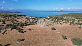 Οικόπεδο 10.000 τ.μ. για πώληση, Αργολίδα, Κρανίδι-thumb-7