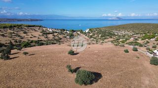 Οικόπεδο 10.000 τ.μ. για πώληση, Αργολίδα, Κρανίδι-thumb-9