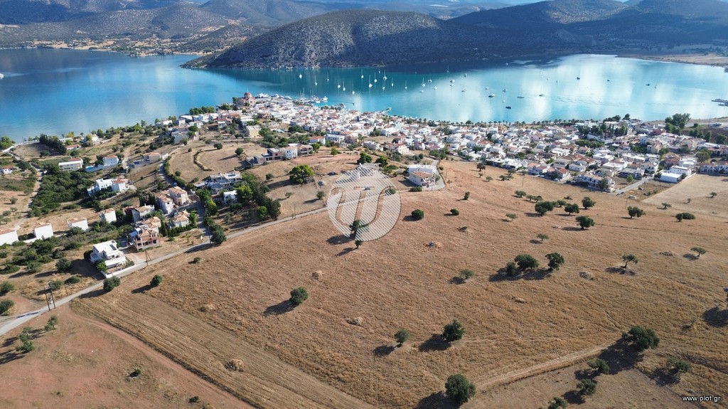 Οικόπεδο 10.000 τ.μ. προς πώληση, Αργολίδα, Κρανίδι