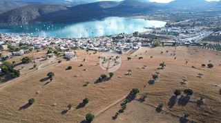 Οικόπεδο 10.000 τ.μ. για πώληση, Αργολίδα, Κρανίδι-thumb-8