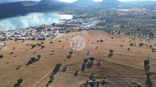 Οικόπεδο 10.000 τ.μ. για πώληση, Αργολίδα, Κρανίδι-thumb-12